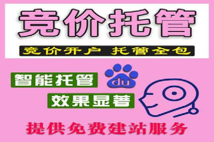百度推广服务费案例：揭秘成功企业运营秘诀
